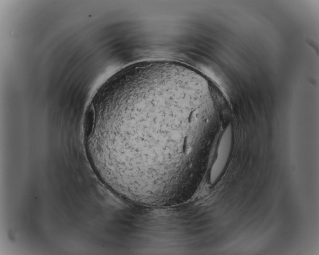 X0000091331480200708241148