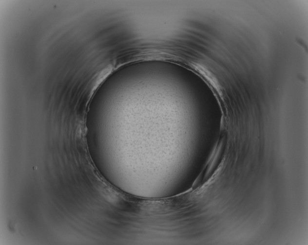 X0000091331481200708241148