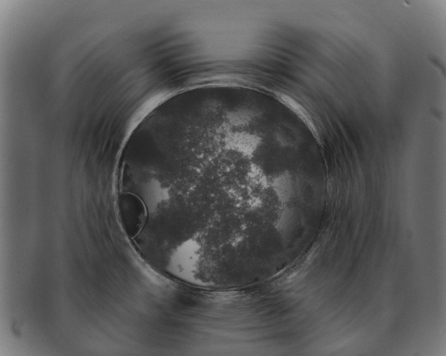 X0000091331482200708241148