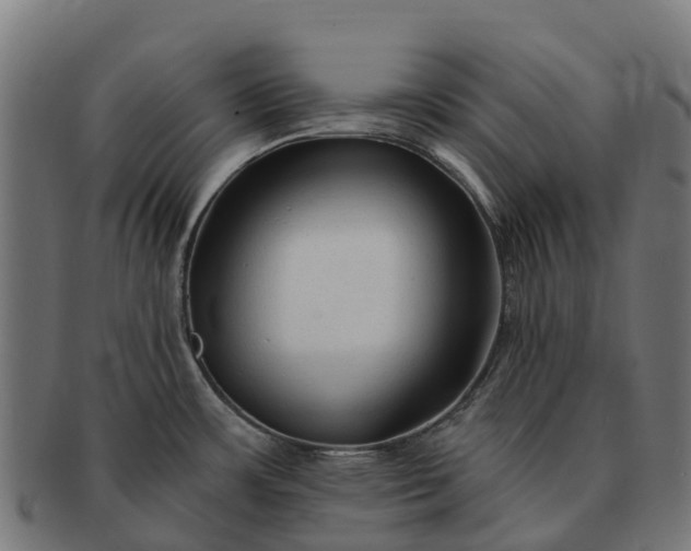 X0000091331483200708241148