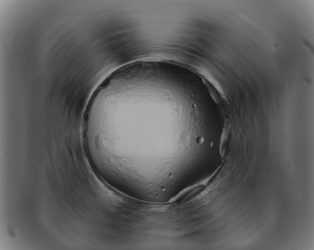 X0000091331484200708241148