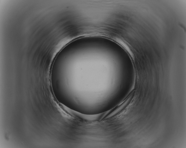 X0000091331485200708241148