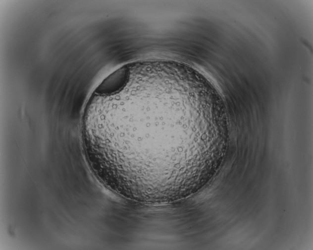 X0000091331486200708241148