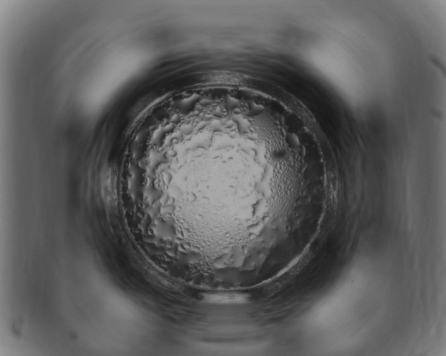 X0000091331487200708241148