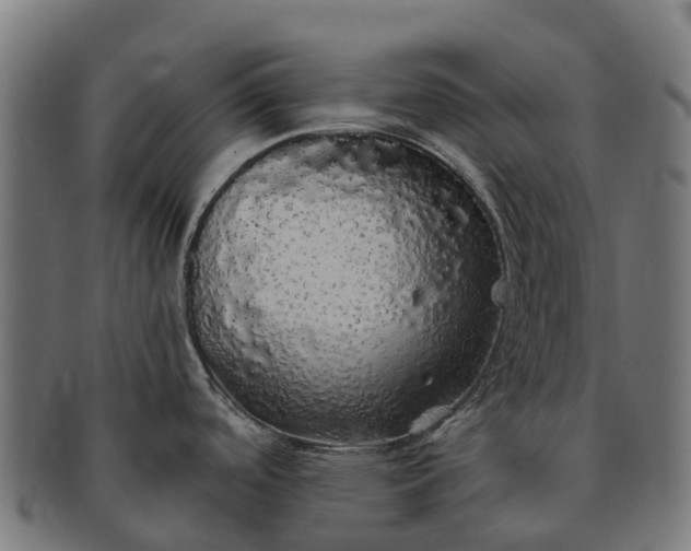 X0000091331488200708241148