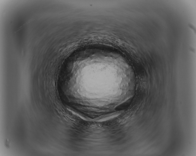 X0000091331489200708241147