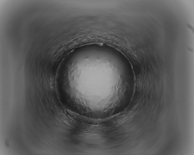 X0000091331490200708241147