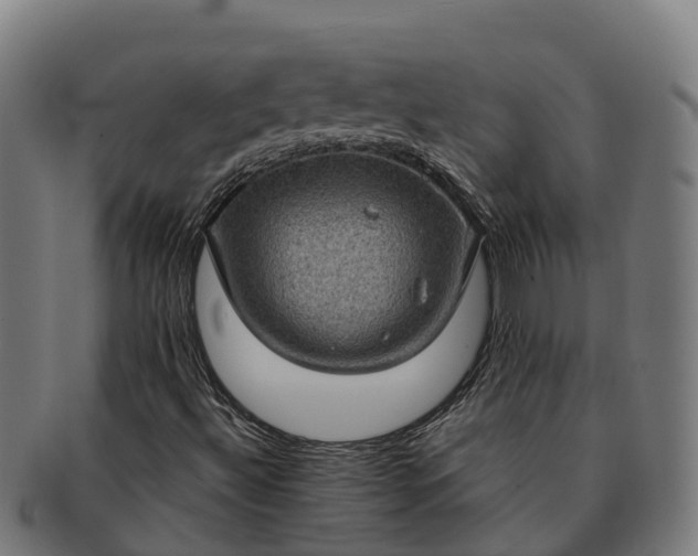 X0000091331492200708241147