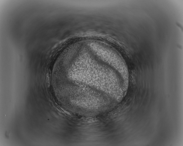 X0000091331493200708241148