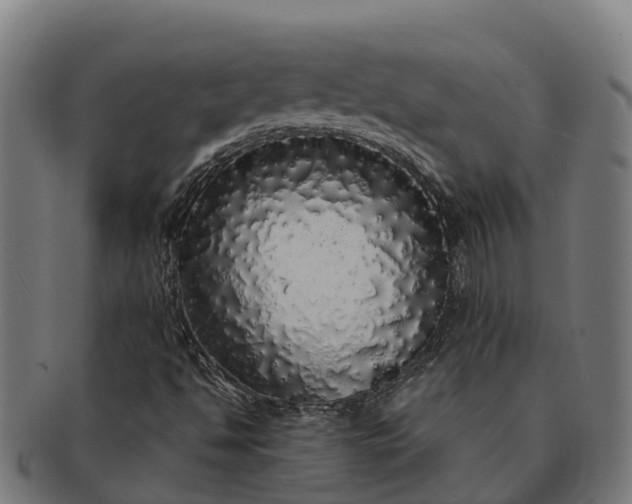 X0000091331494200708241148