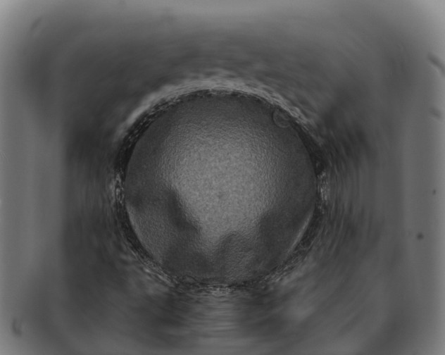 X0000091331495200708241148