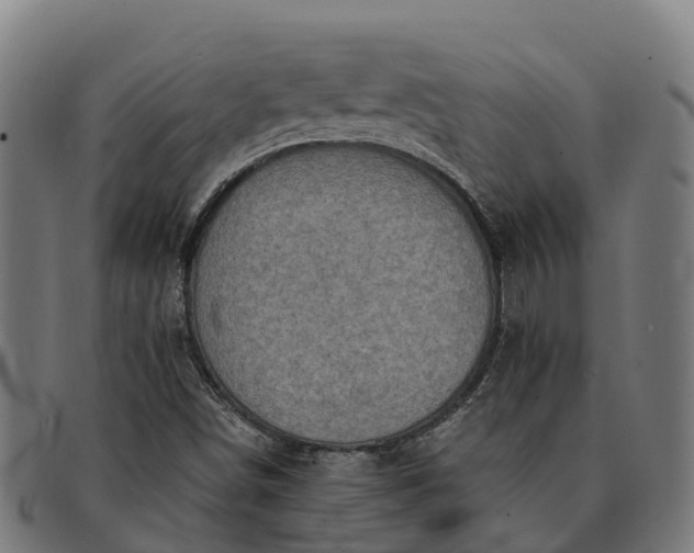 X0000091331498200708241148