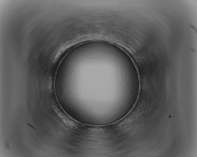 X0000091331499200708241148