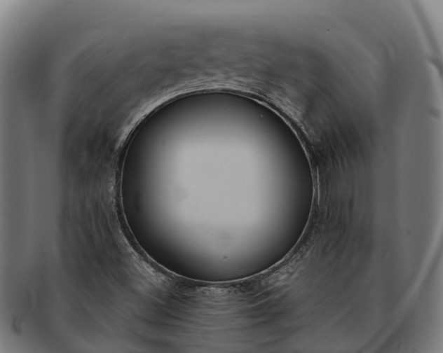 X0000091331500200708241148