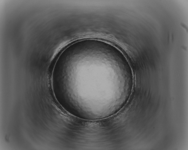 X0000091331501200708241148