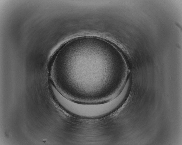 X0000091331502200708241148