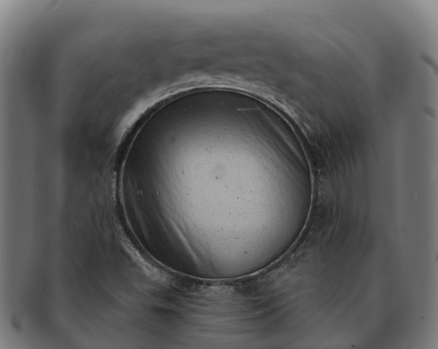 X0000091331503200708241148