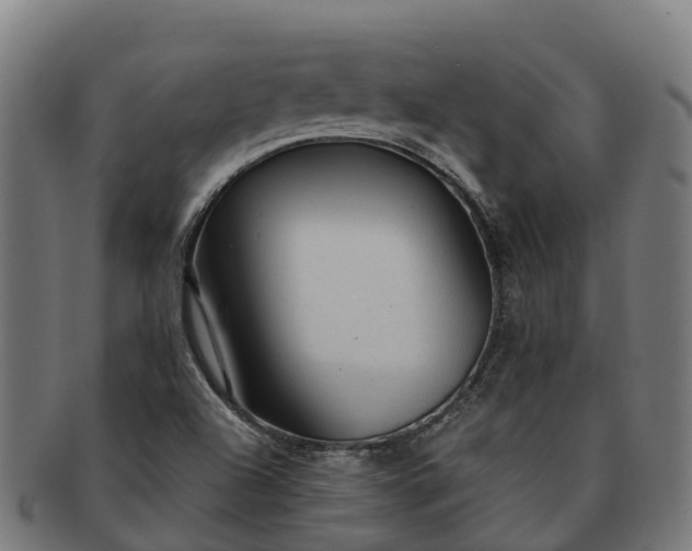 X0000091331504200708241148