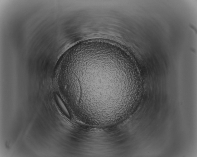 X0000091331505200708241148