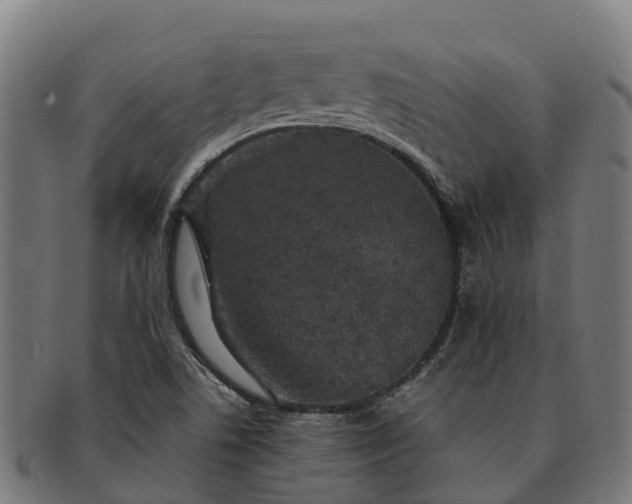 X0000091331506200708241148