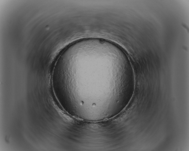 X0000091331507200708241148