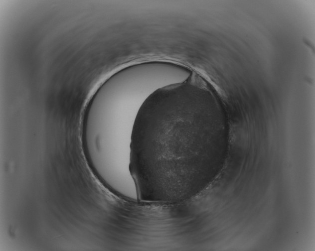 X0000091331508200708241148