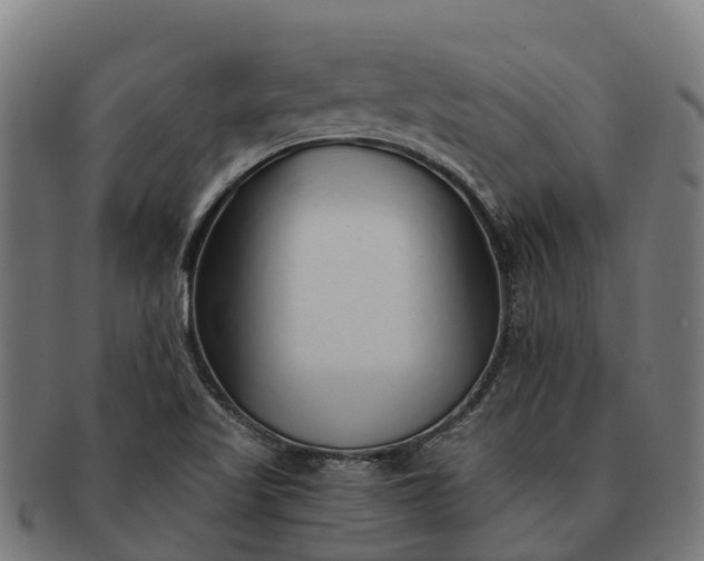 X0000091331509200708241148