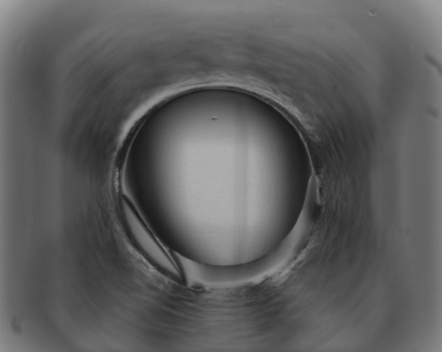 X0000091331510200708241148