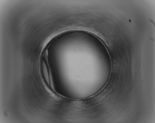 X0000091331511200708241148