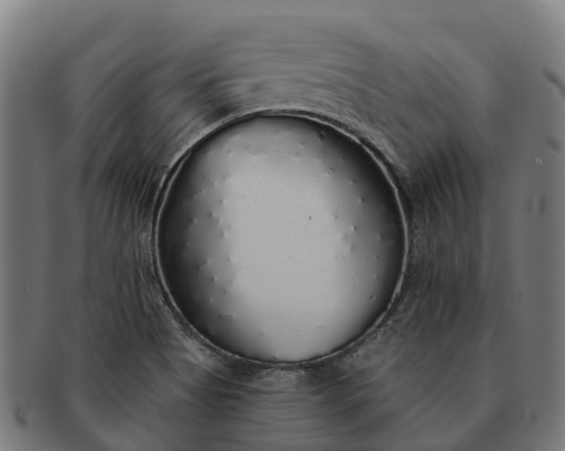 X0000091331513200708241148