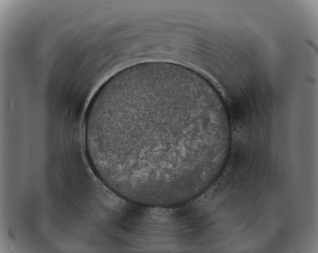 X0000091331514200708241148