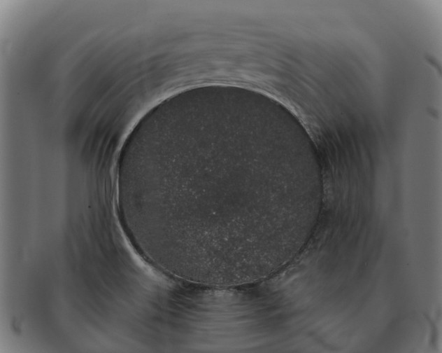 X0000091331515200708241148