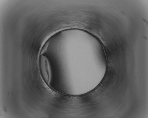 X0000091331516200708241148