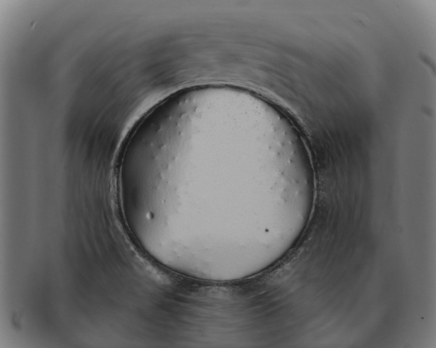 X0000091331517200708241148