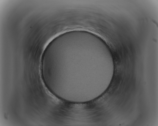 X0000091331518200708241148