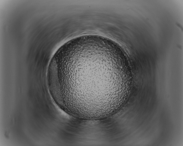 X0000091331519200708241148