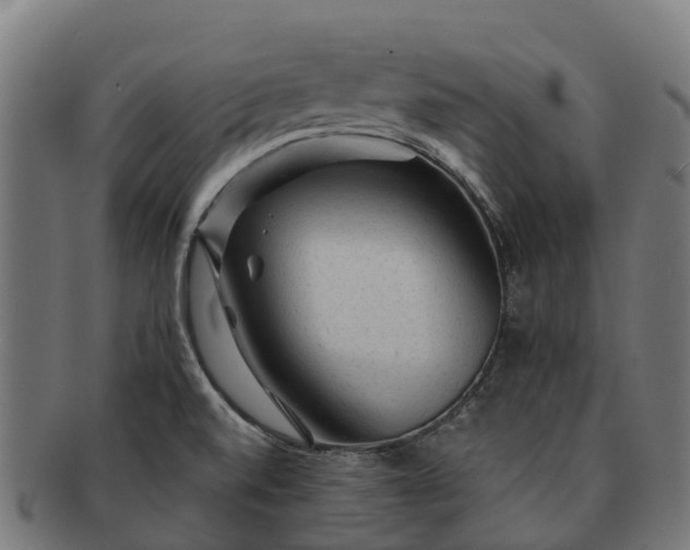 X0000091331520200708241148