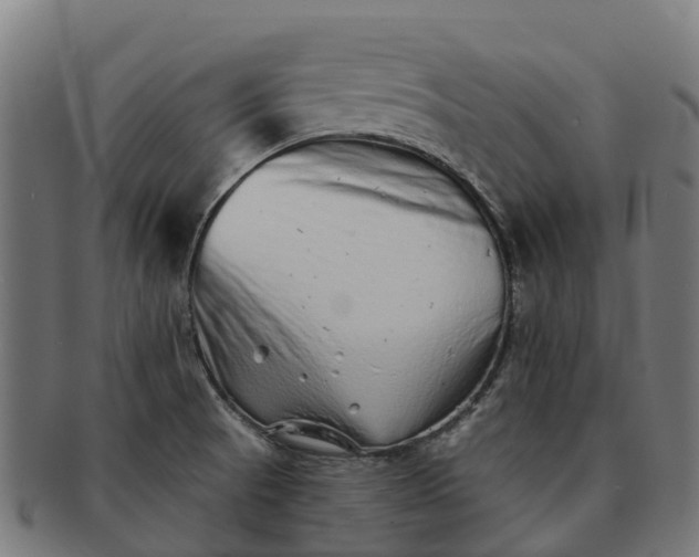 X0000091331521200708241148