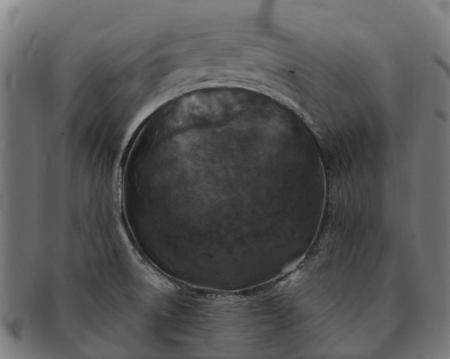 X0000091331522200708241148