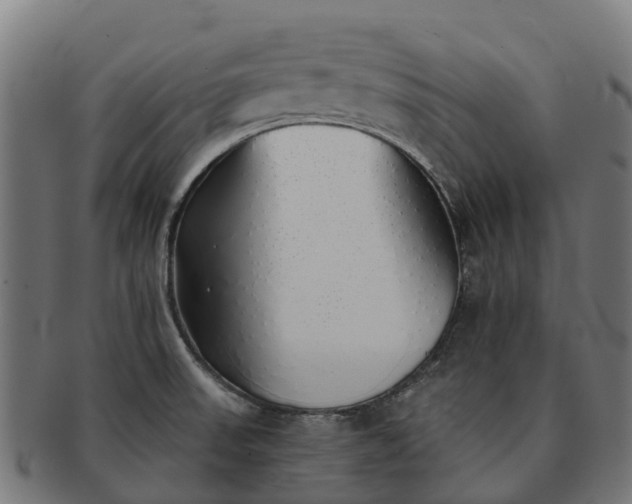 X0000091331523200708241148