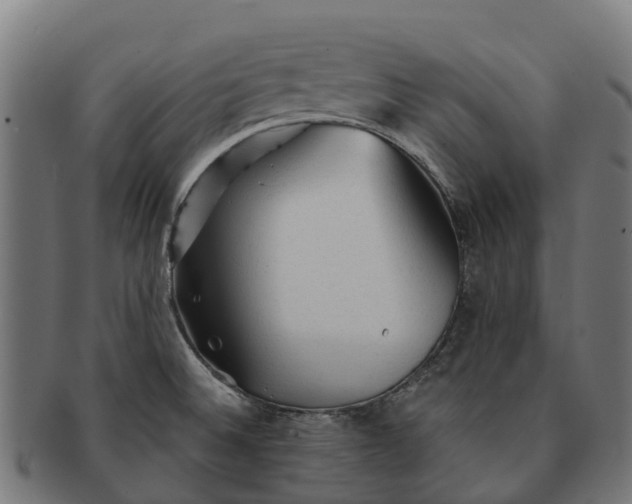 X0000091331524200708241148