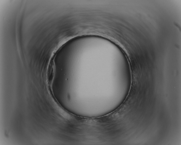 X0000091331525200708241148