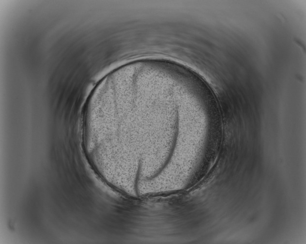 X0000091331526200708241148