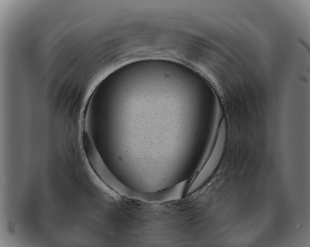 X0000091331528200708241148