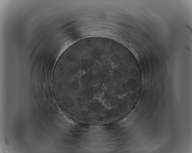 X0000091331529200708241148