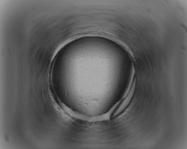 X0000091331530200708241148