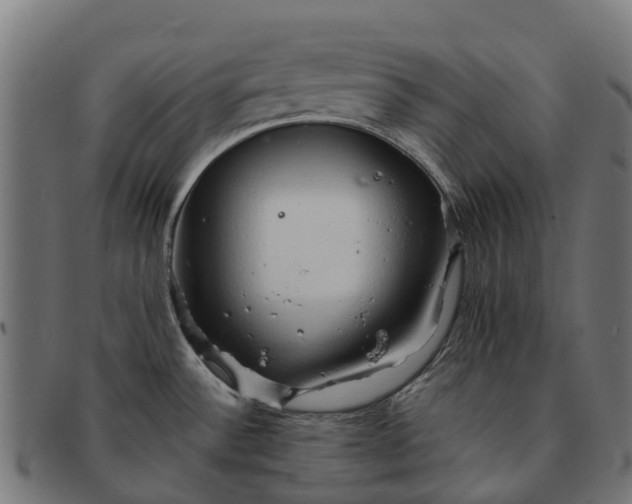 X0000091331532200708241148