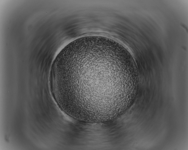 X0000091331533200708241148