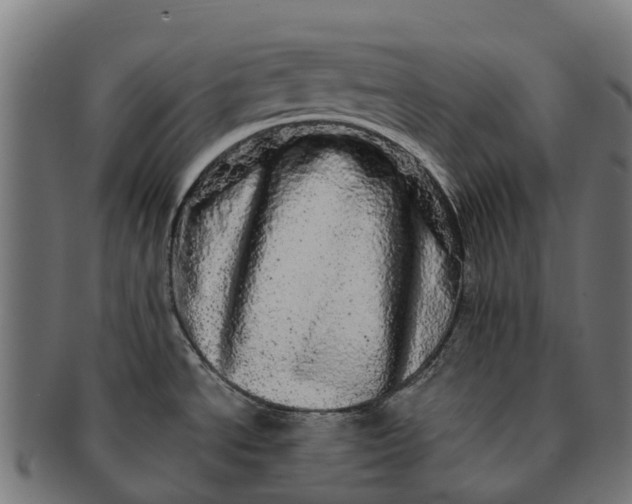 X0000091331534200708241148