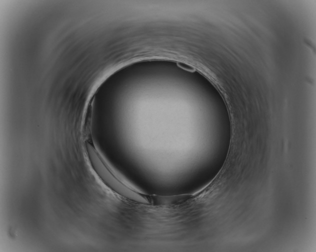 X0000091331536200708241148